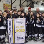 DQ_NDHL_Gold